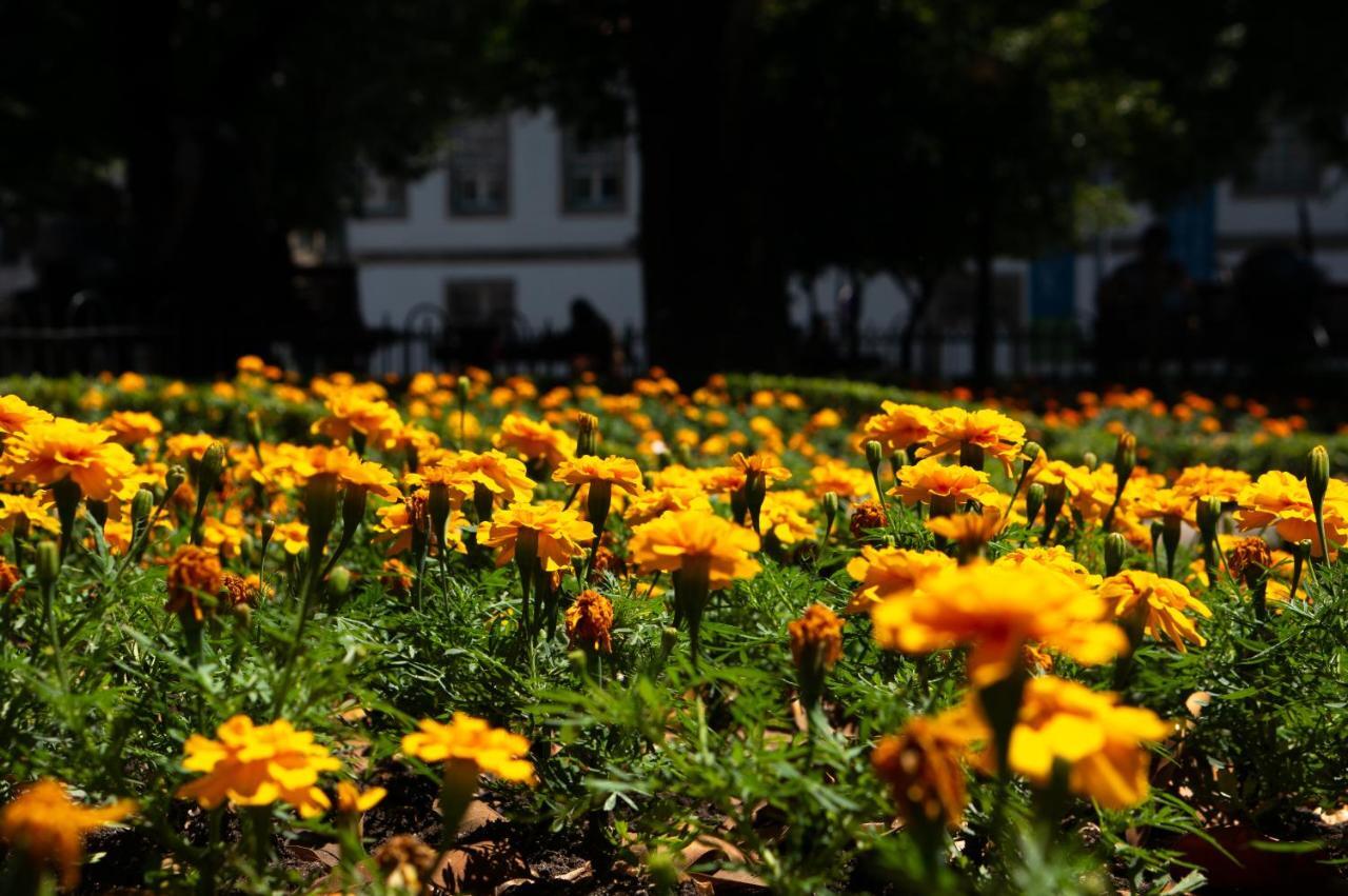 Jardim de São Lázaro - Porto Apartments Esterno foto